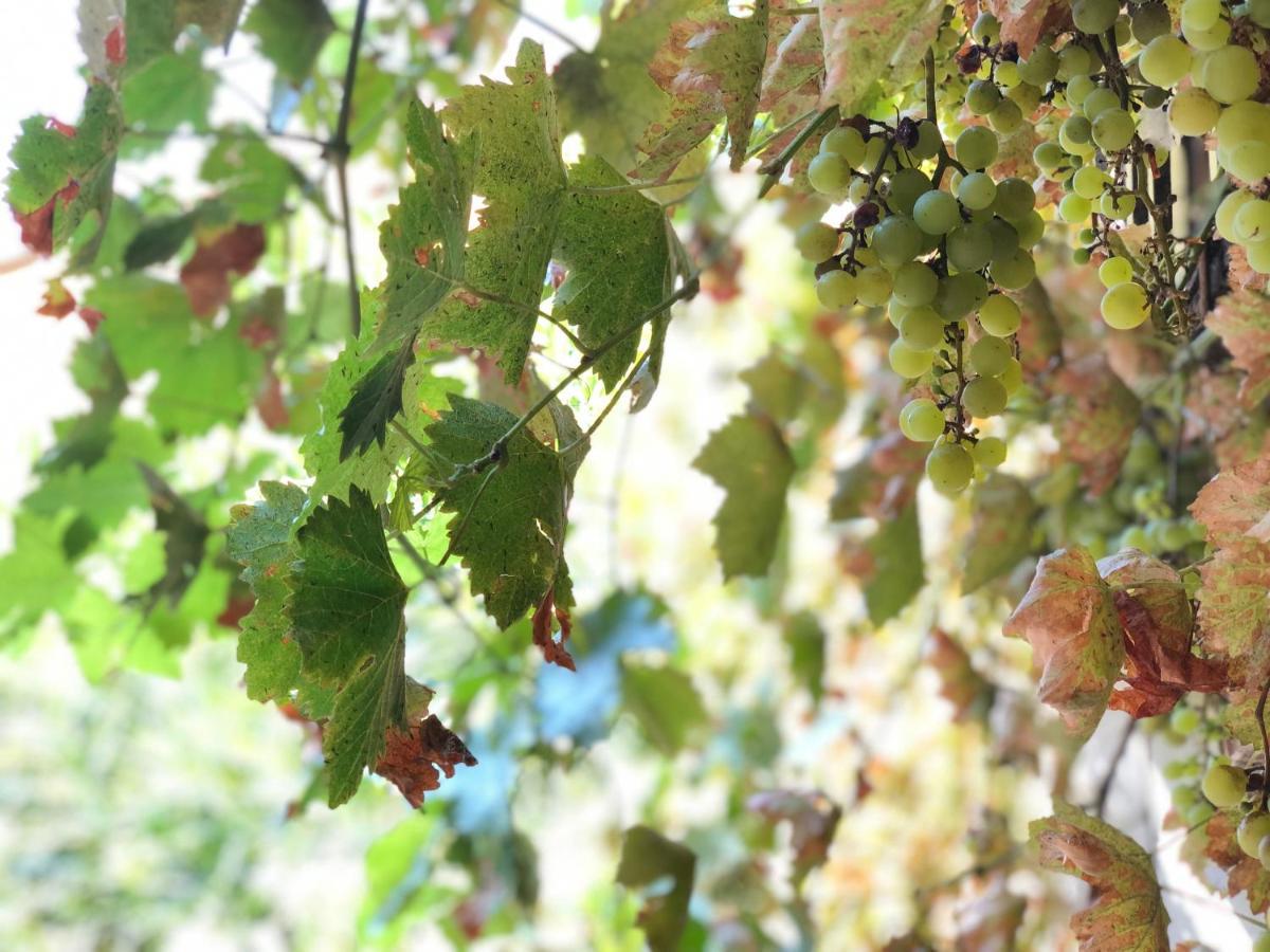 L'Antico Podere Soresina Екстериор снимка